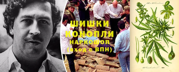 Альфа ПВП Аркадак