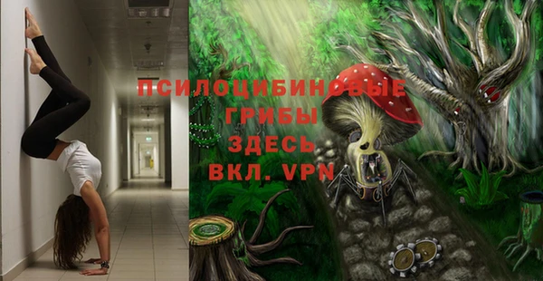 Альфа ПВП Аркадак