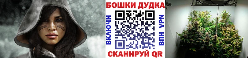 Канабис SATIVA & INDICA  Купить закладки  Бобров 
